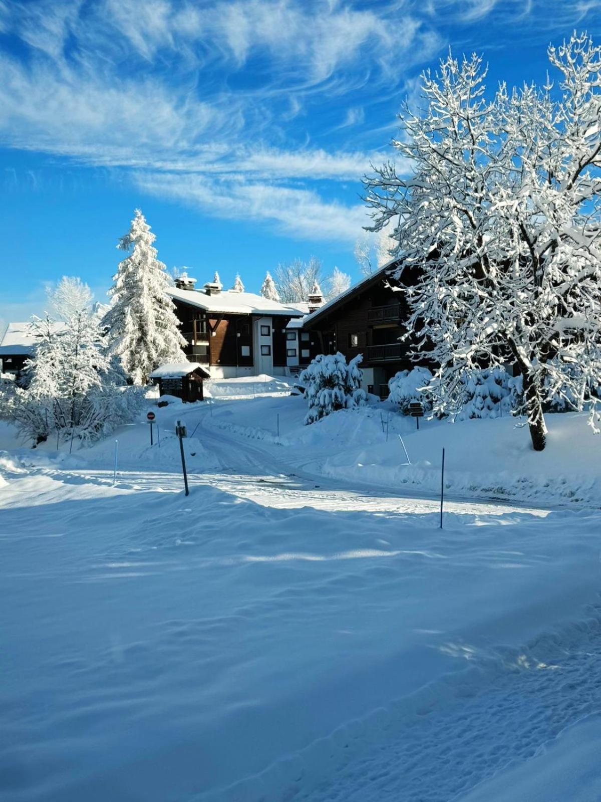 Le Flocon Du Mont Darbois Classe 3 Etoiles Megève Dış mekan fotoğraf